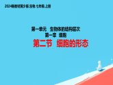 初中  生物  冀少版（2024）  七年級上冊（2024）  第一單元 生物體的結(jié)構(gòu)層次  第一章 細胞第二節(jié) 細胞的形態(tài) 課件