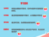 初中  生物  冀少版（2024）  七年級上冊（2024）  第一單元 生物體的結(jié)構(gòu)層次  第一章 細胞第二節(jié) 細胞的形態(tài) 課件