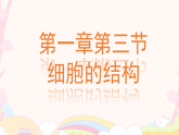 初中  生物  冀少版（2024）  七年級上冊（2024）  第一單元 生物體的結(jié)構(gòu)層次  第一章 細胞第三節(jié) 細胞的結(jié)構(gòu) 課件