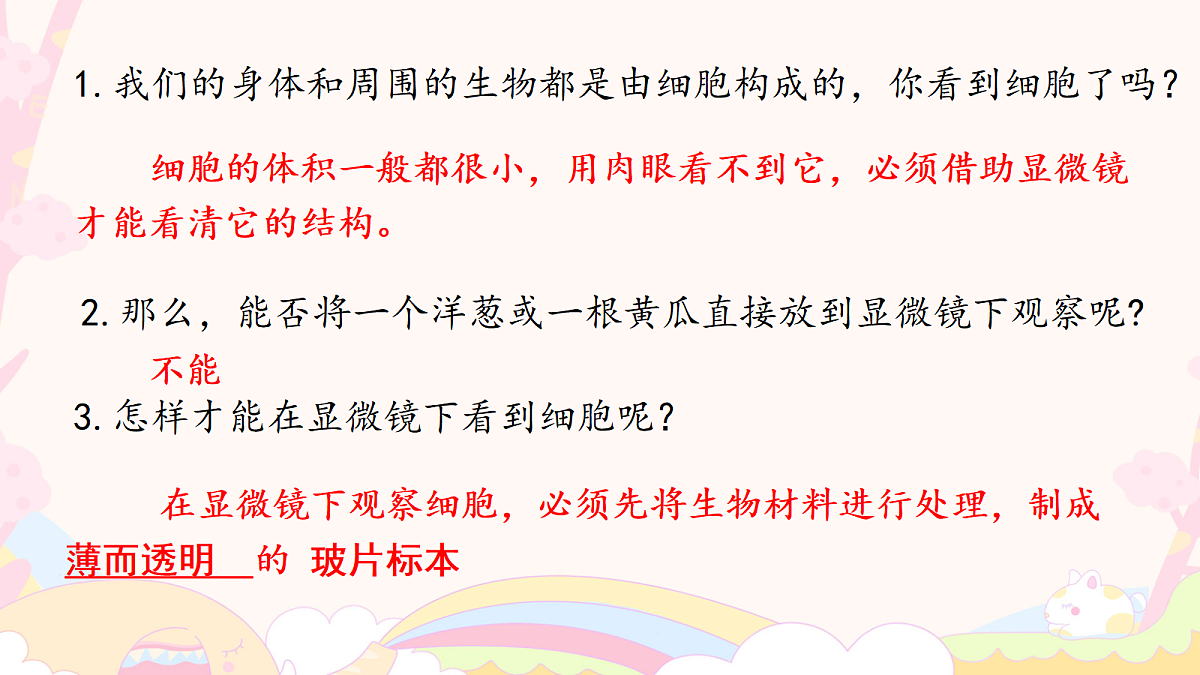 17259533第4页