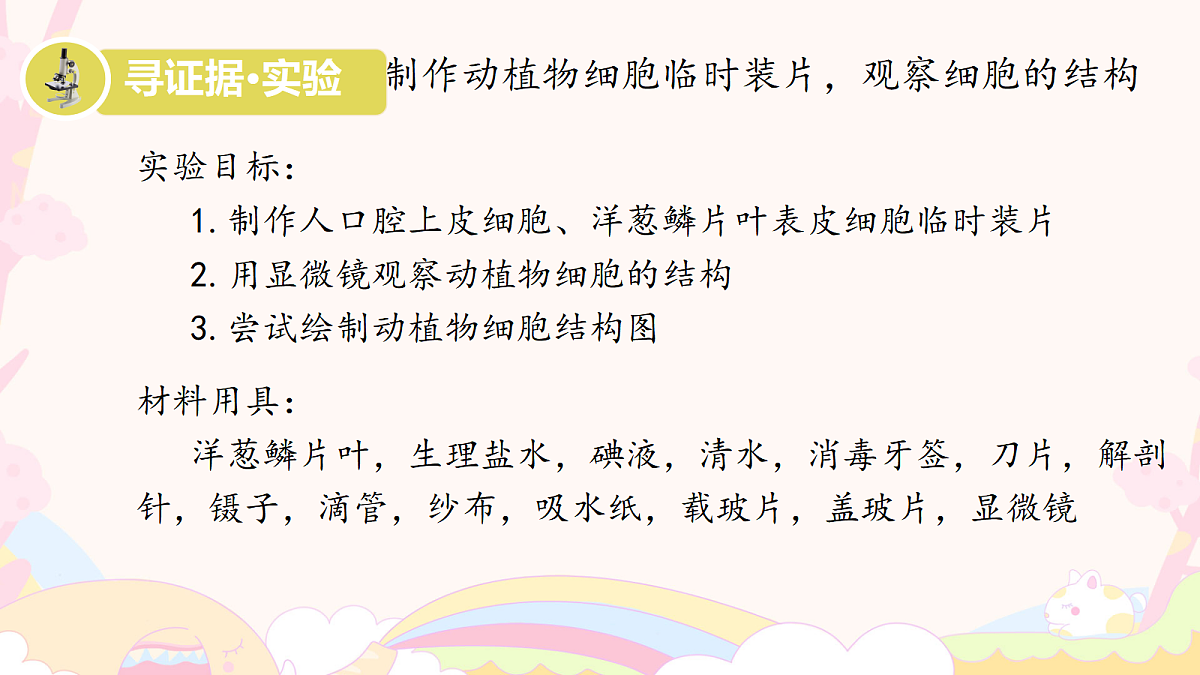 17259533第5页