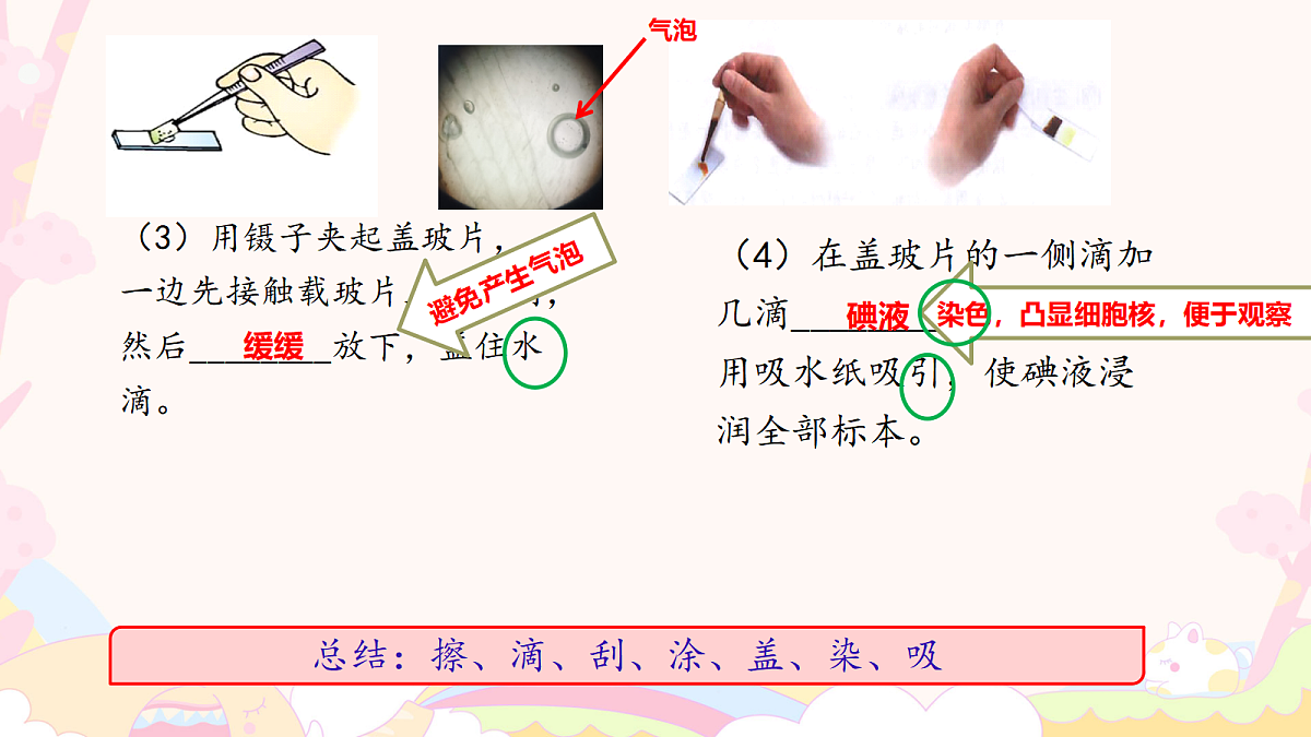 17259533第7页