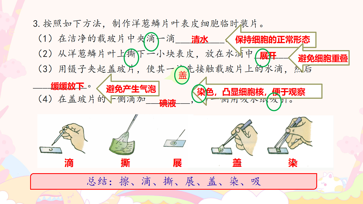17259533第8页