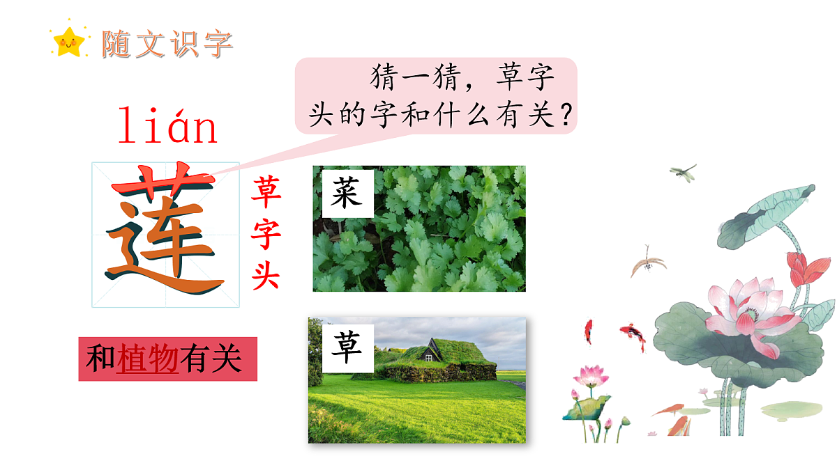 17259774第7页