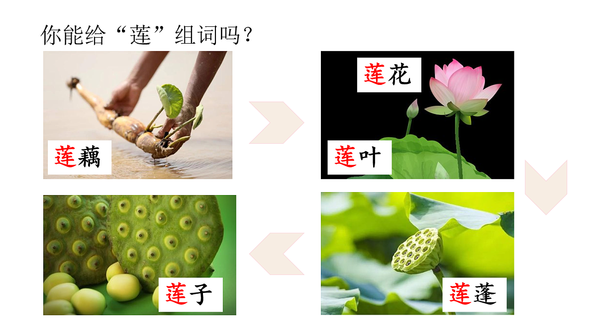 17259774第8页