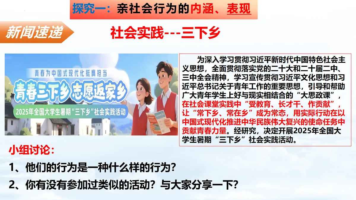 17260236第4页