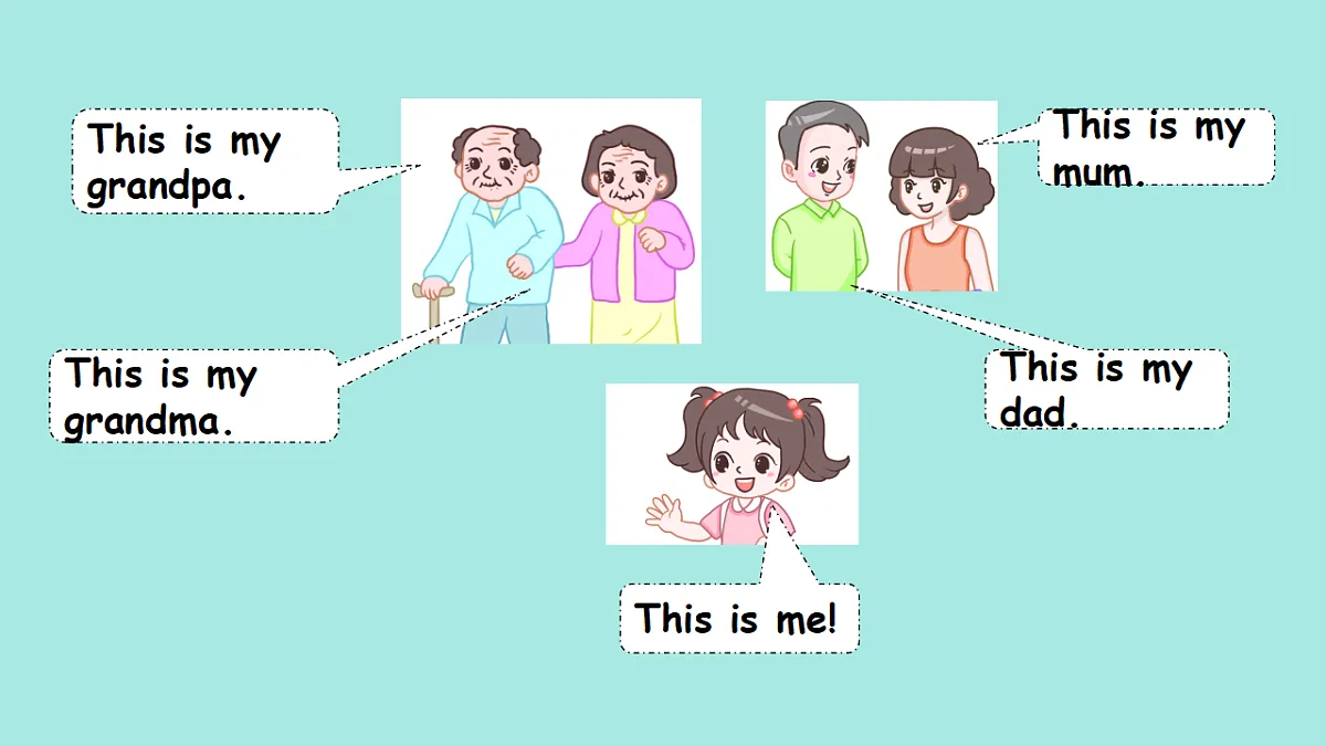 17260982第3页
