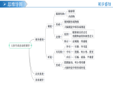 人教版生物八年級上冊 第四單元第六章 人體生命活動的調節(jié) 復習課件