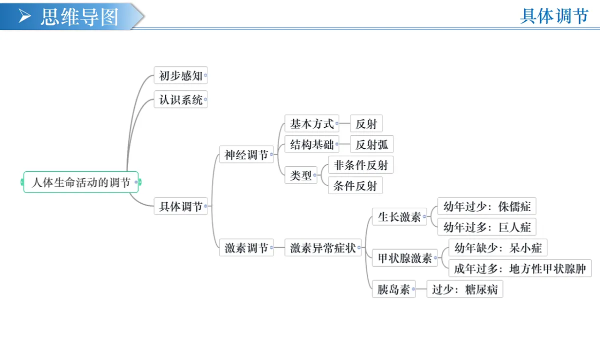 17261032第5页