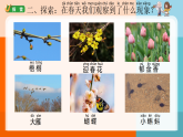 2-5《不同的季节》课件 2025-2026学年教科版二年级科学上册