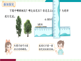 人教版（2024）數(shù)學(xué)三年級上冊 第5單元 第2課時  比較線段的長短 課件