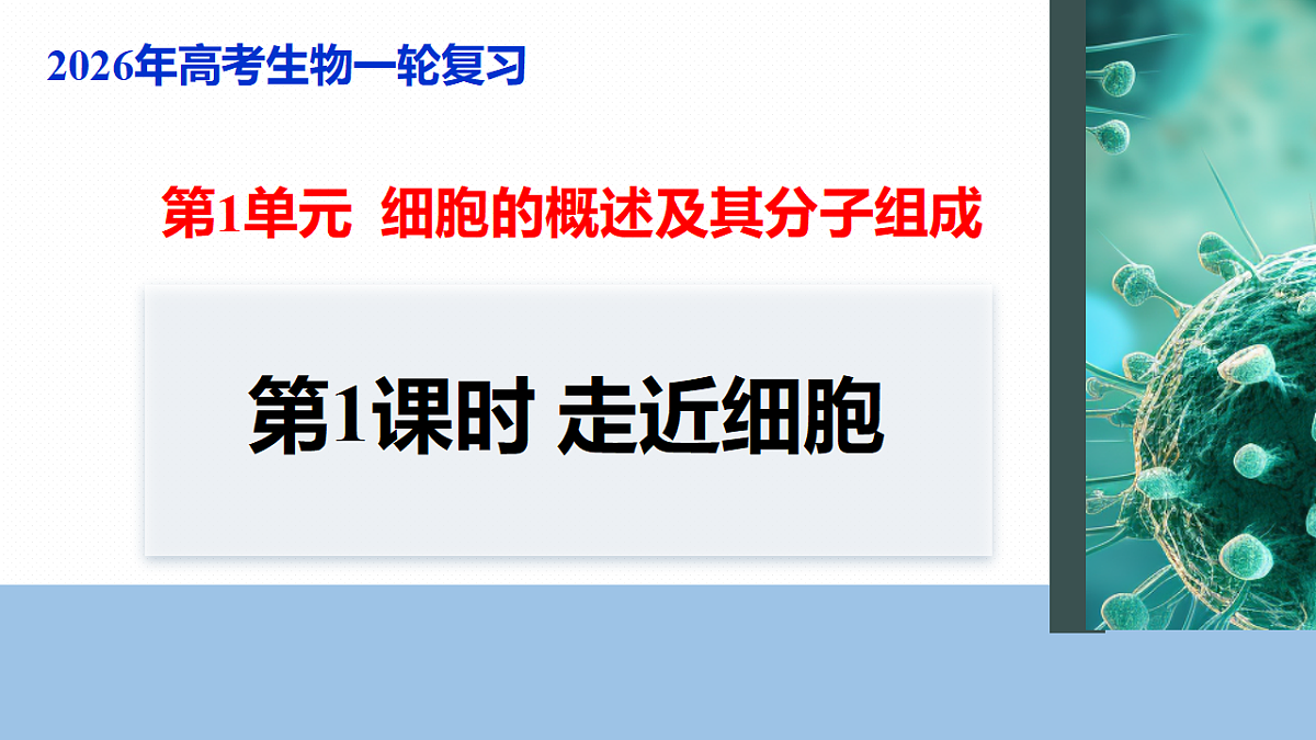 17262582第1页