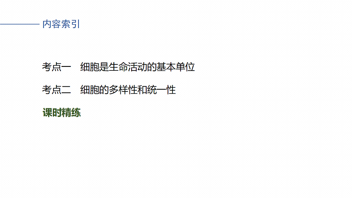 17262582第4页