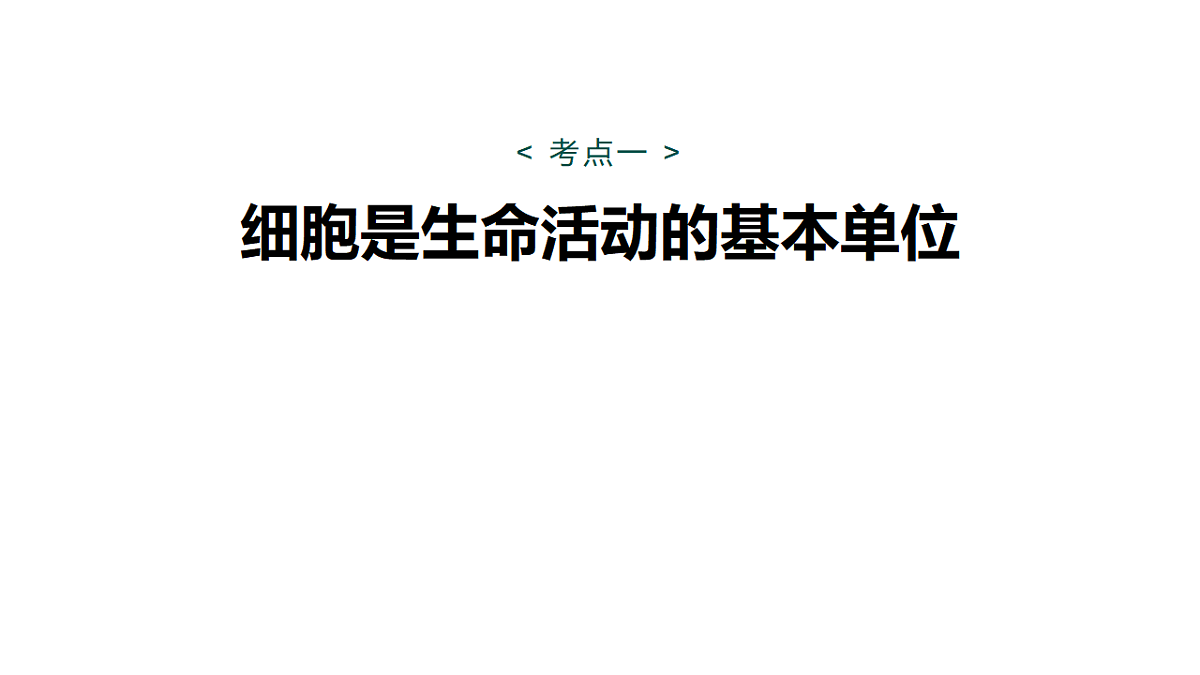 17262582第5页