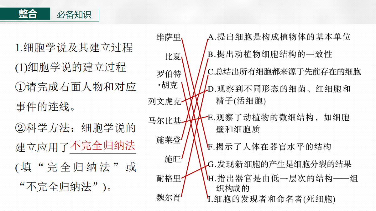 17262582第6页