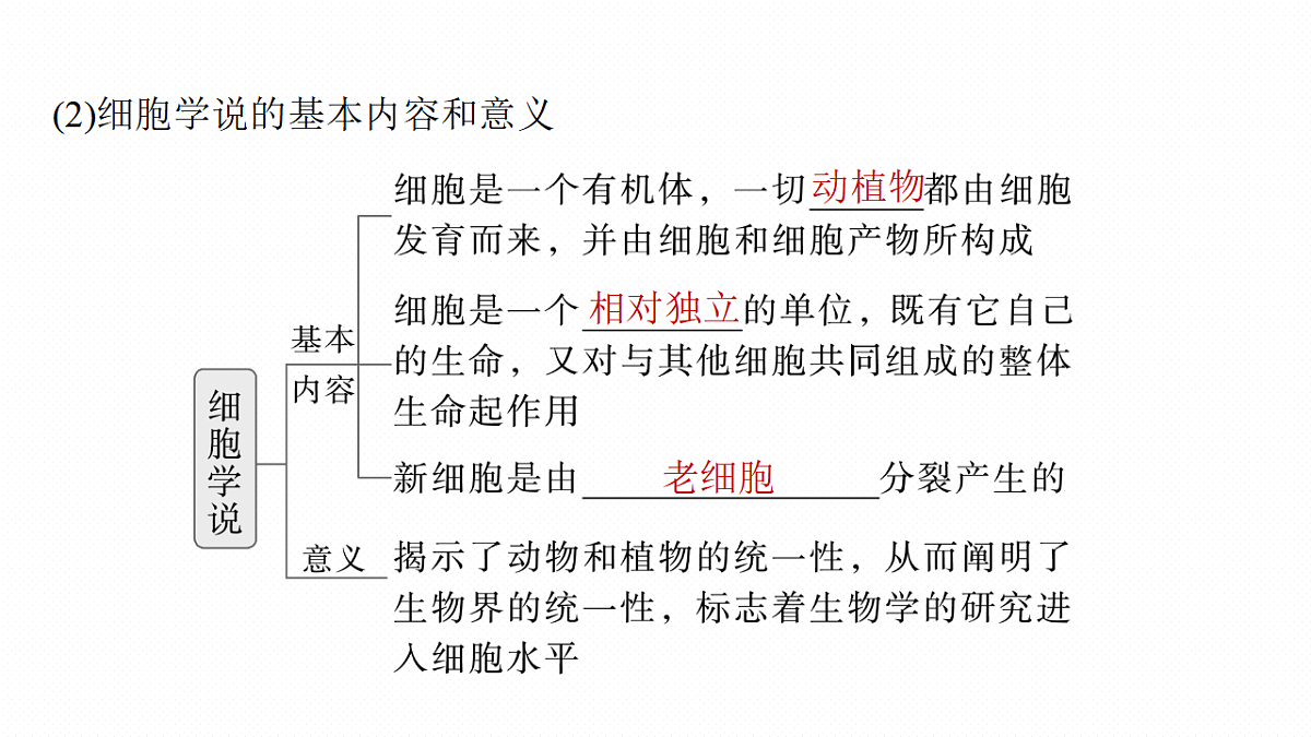 17262582第7页