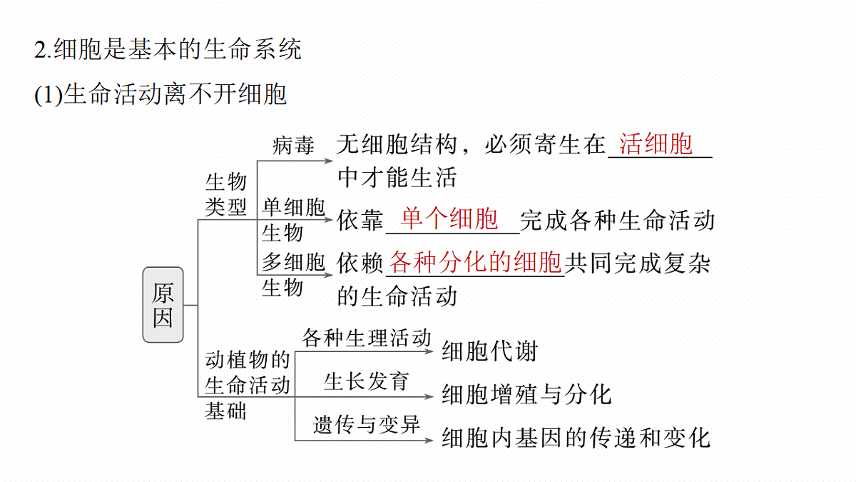 17262582第8页