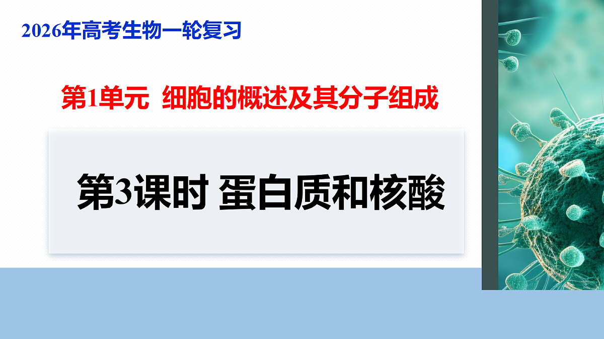 17262583第1页