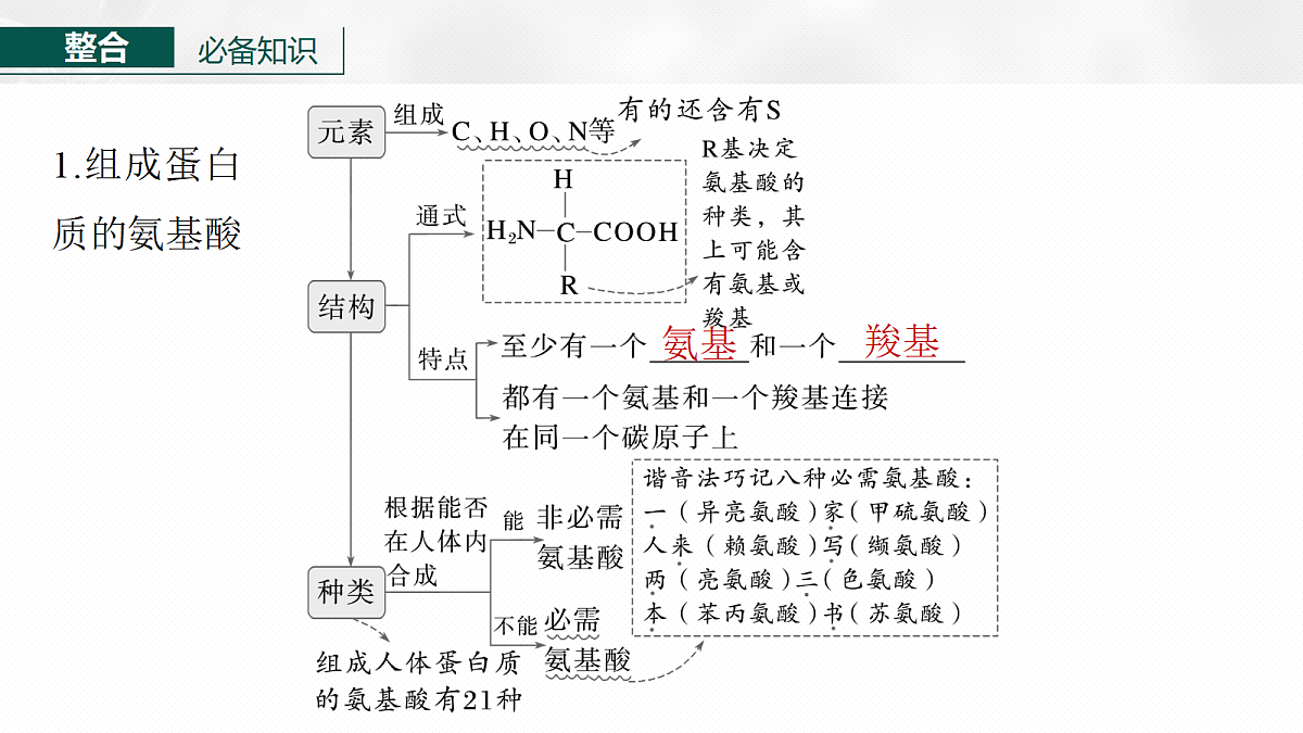 17262583第6页