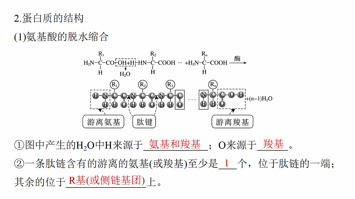 17262583第8页