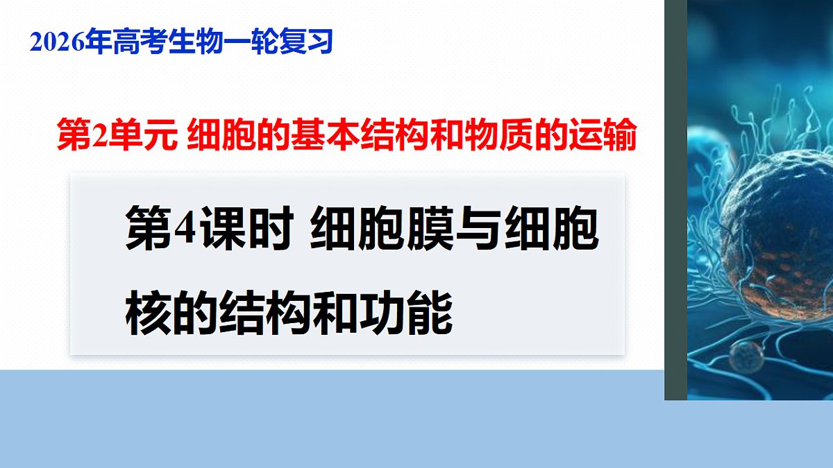 17262584第1页