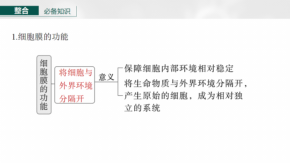 17262584第6页