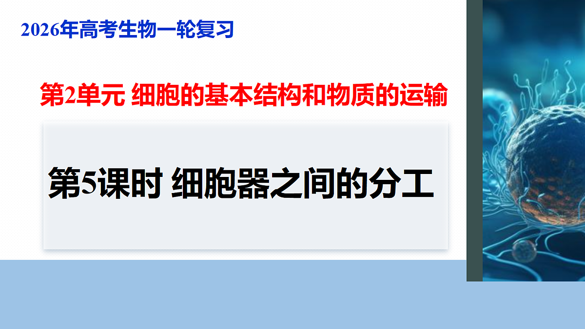 17262585第1页
