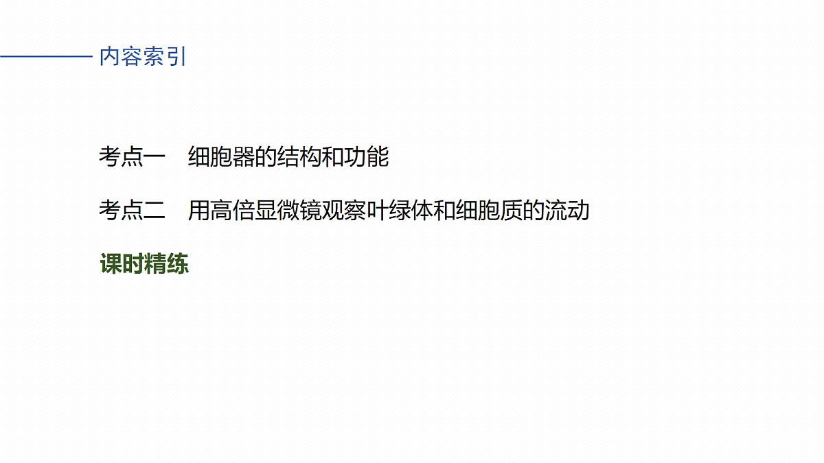 17262585第4页