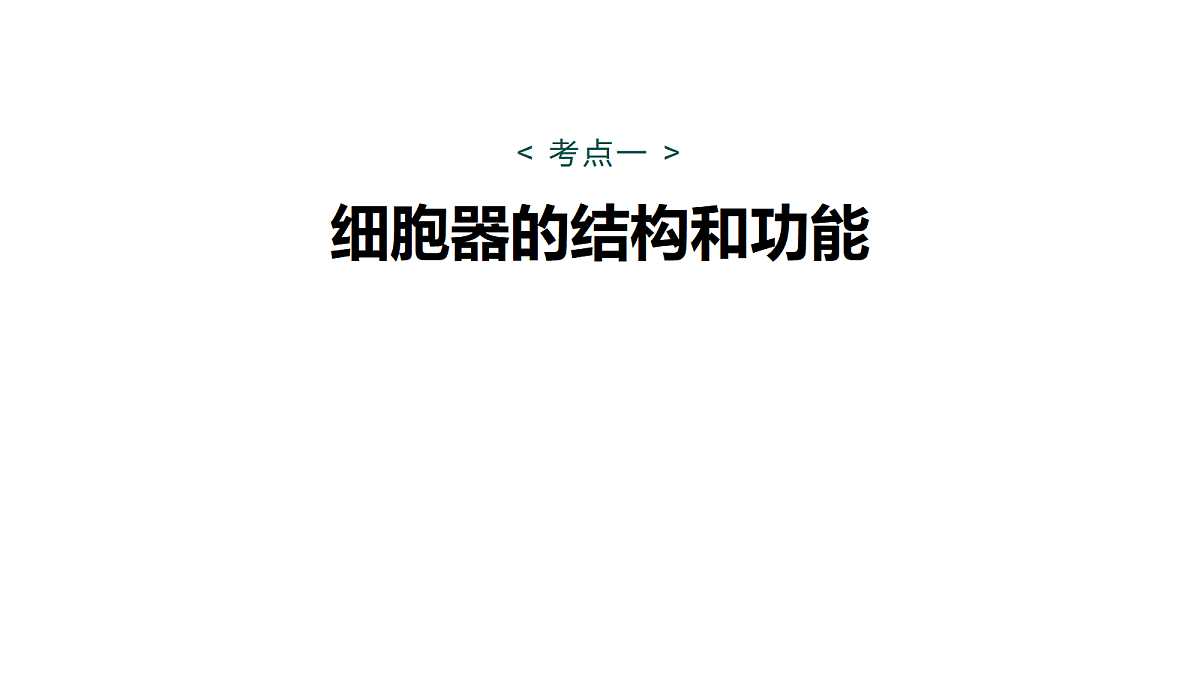 17262585第5页