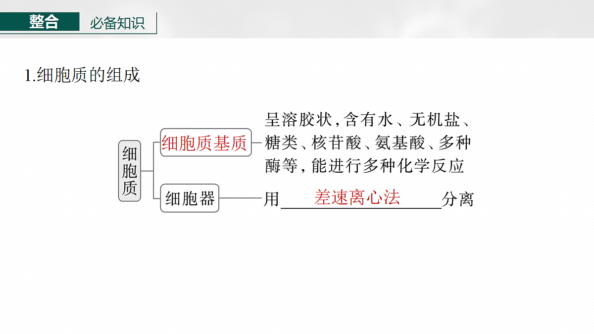 17262585第6页