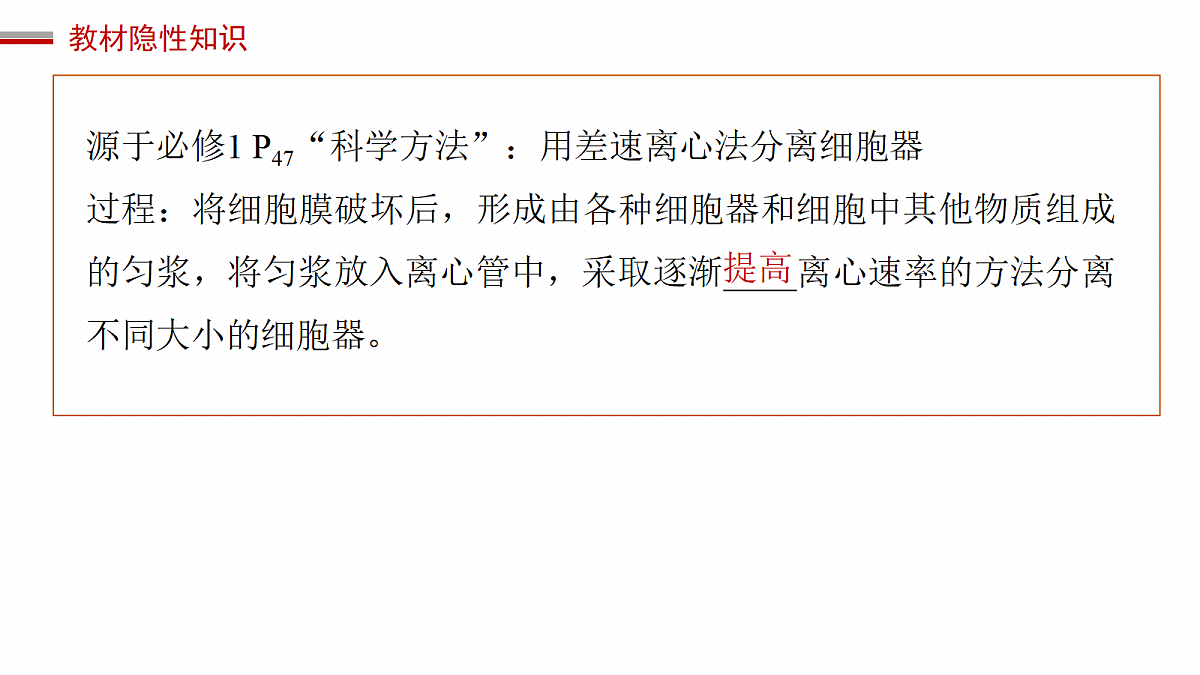 17262585第7页