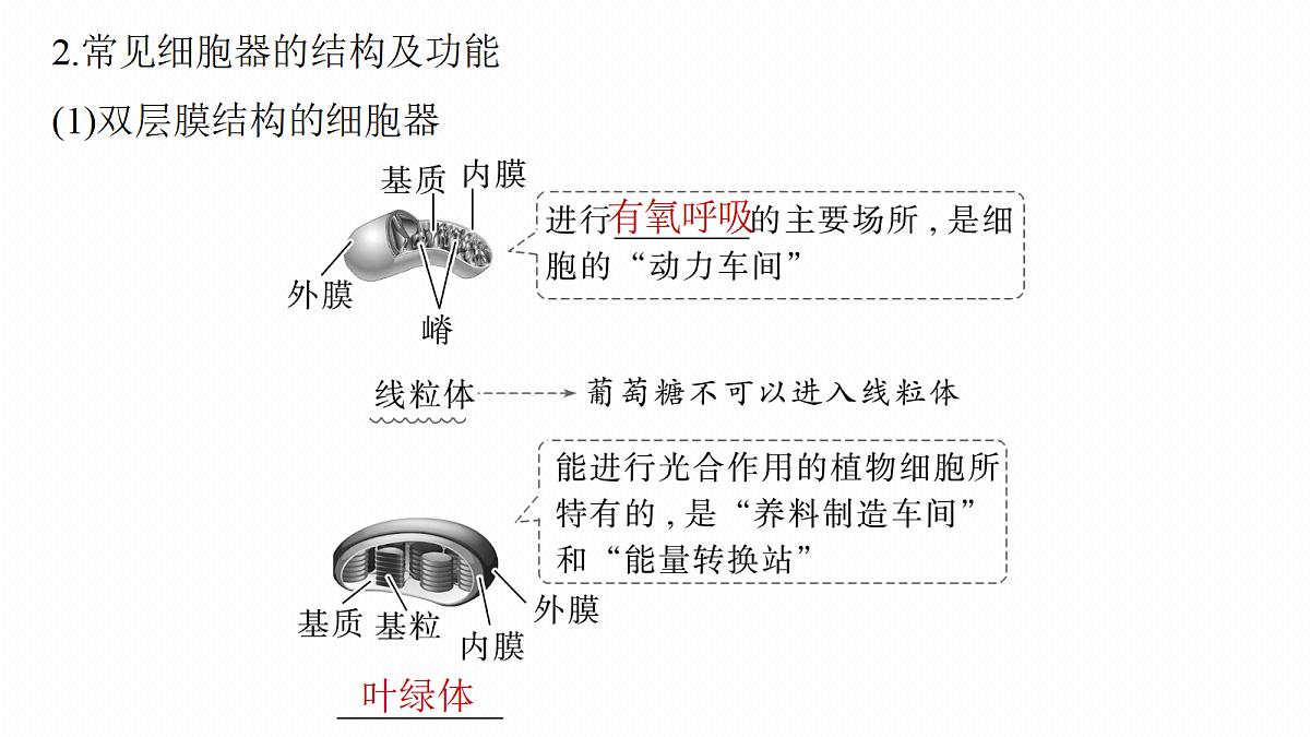 17262585第8页