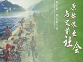 第2課 原始農(nóng)業(yè)與史前社會（課件）-人教版初中歷史7年級上冊