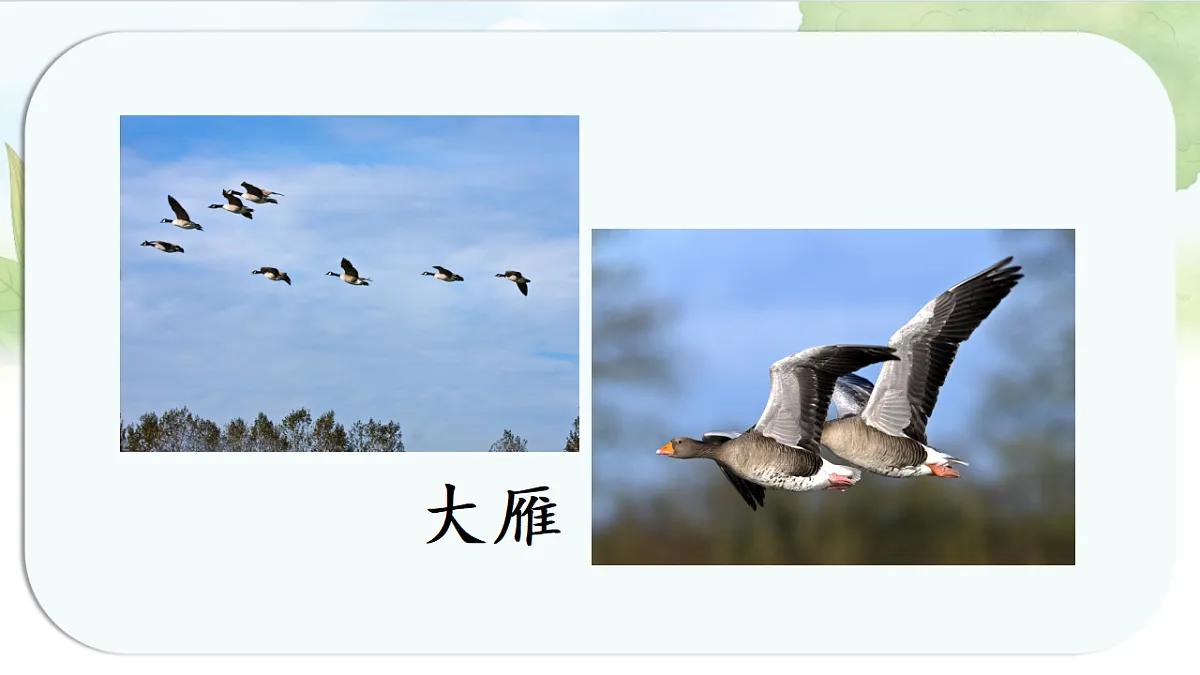 17262738第2页