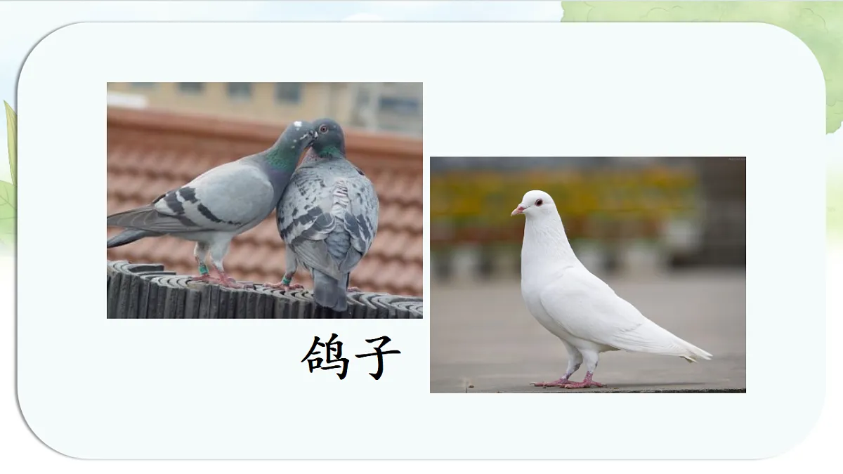 17262738第3页