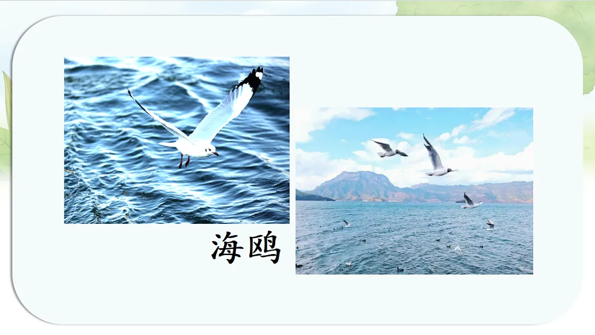 17262738第4页