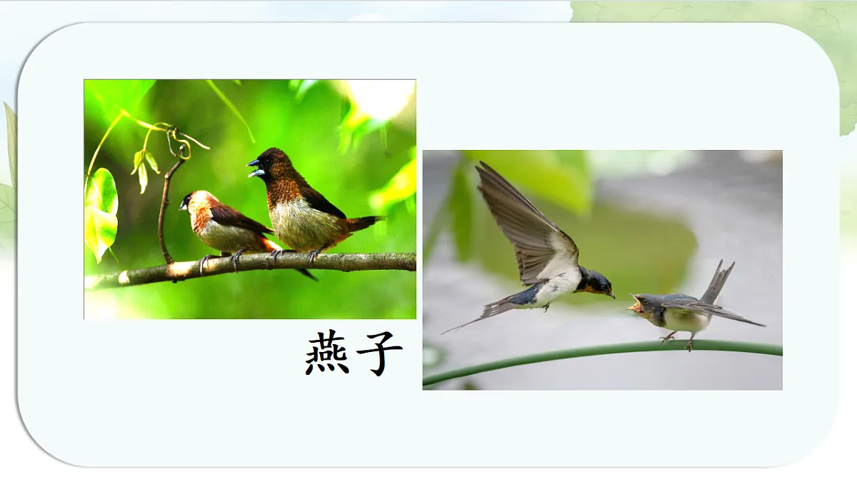 17262738第5页