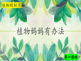 部编版小学语文二年级上册 植物妈妈有办法  课件