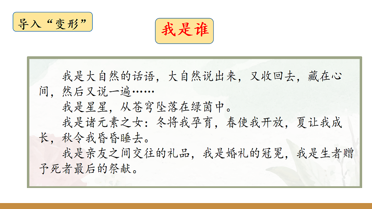 17262930第3页