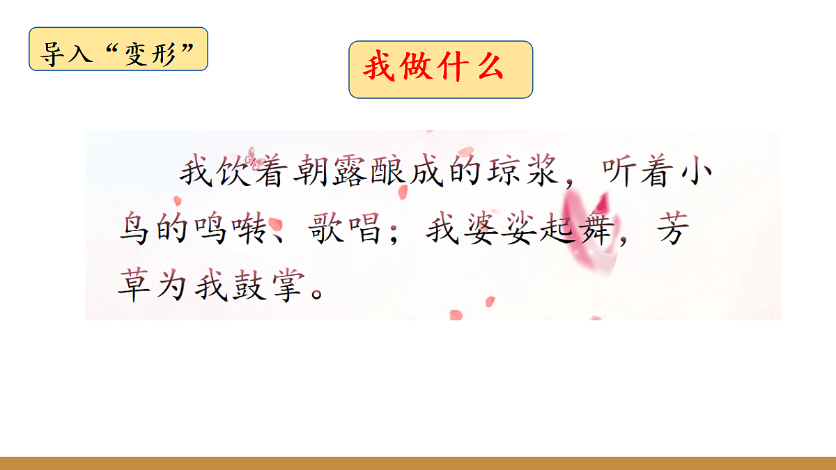 17262930第5页