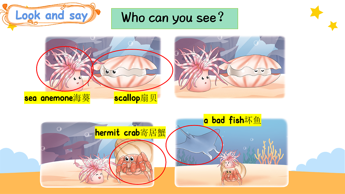 17263098第4页