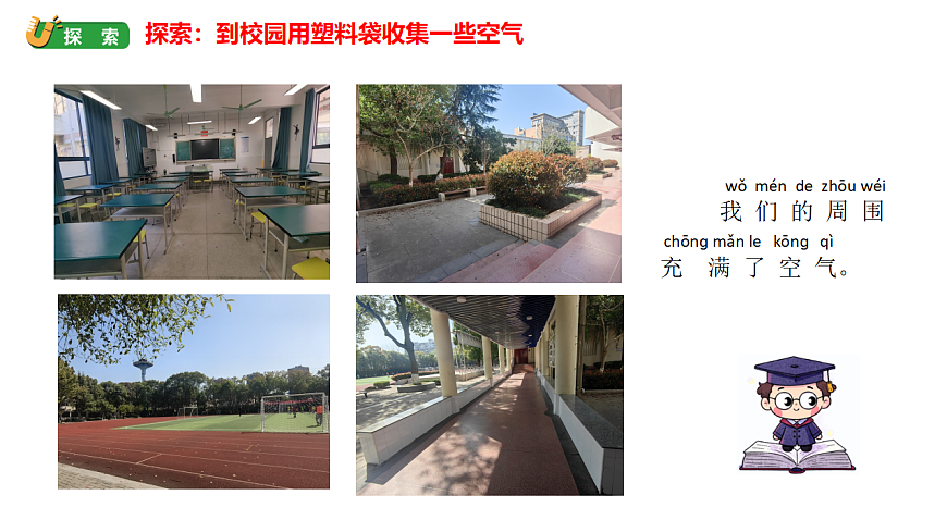 17264102第3页