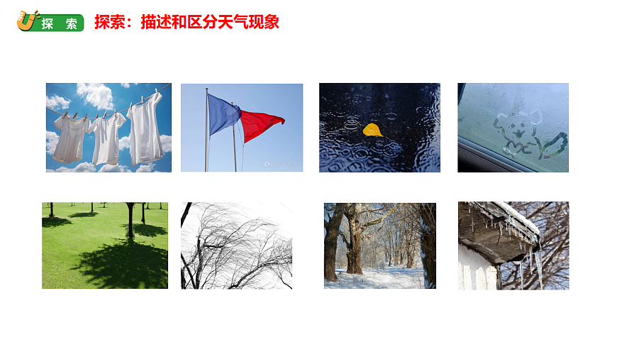 17264103第3页