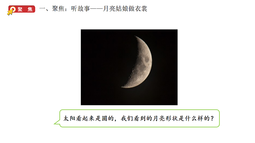 17264105第3页