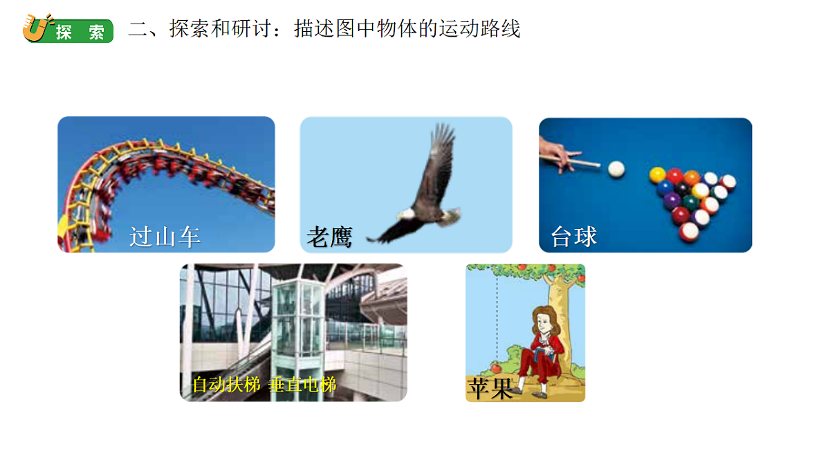 17264124第3页