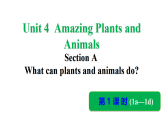 人教版（2024）英语八年级上册 Unit 4  Amazing Plants and Animals  Section A（1a-1d）（第1课时）（课件)