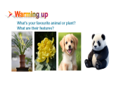 人教版（2024）英语八年级上册 Unit 4  Amazing Plants and Animals  Section A（1a-1d）（第1课时）（课件)