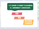 统编教材小学语文四年级下册第一单元 2 乡下人家 课件