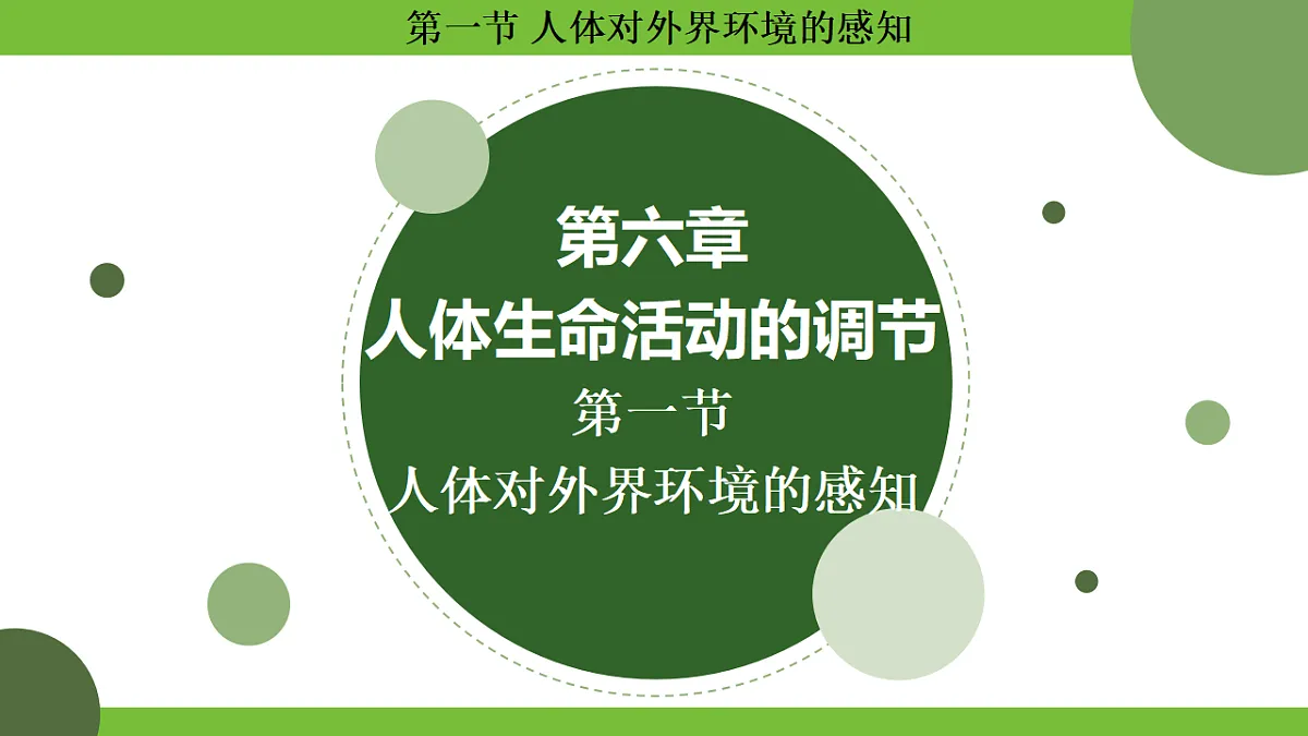 17264401第2页