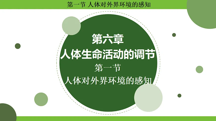 17264401第2页